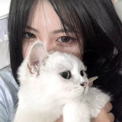 地牢骑士团游戏下载